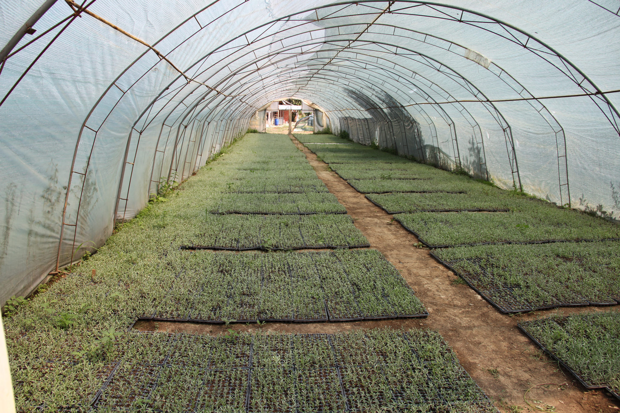 20335707554_be64d7536b_k